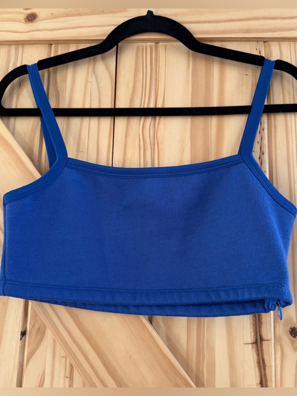 Princess Polly Blue Bra Top size 6